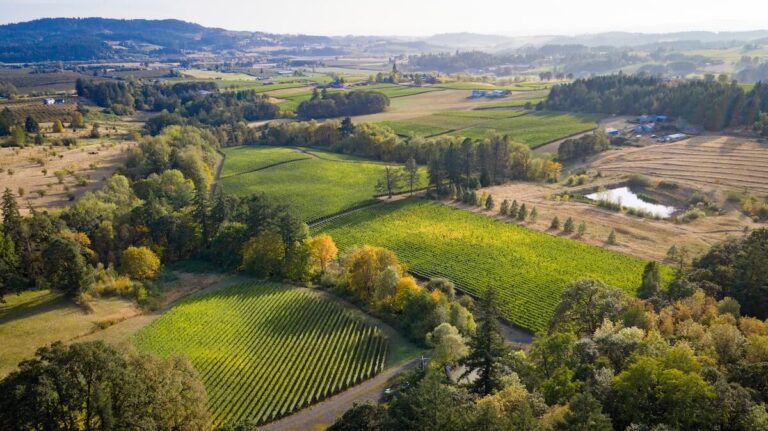 Herita Marzotto Wine Estates expands its vineyard holdings in Oregon