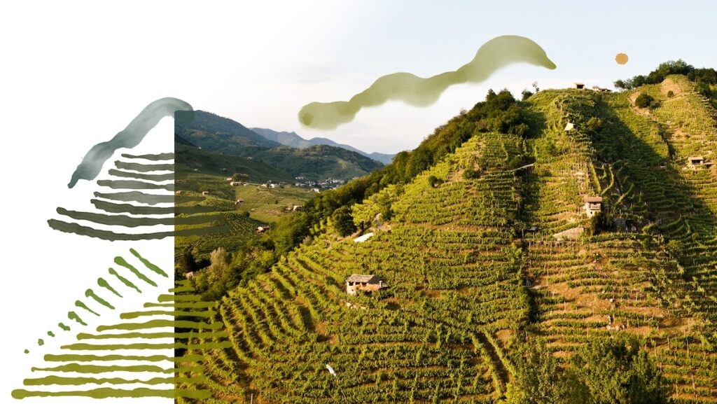 Bisol1542 launches the Cuvée Eroiche, Brut and Extra Dry: Prosecco Superiore crafted for by‑the‑glass service.