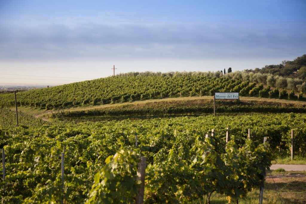 Bonomo Sexaginta Custoza Riserva 2022 debuts at Vinitaly 2026, marking a new evolution of Monte del Frà’s signature white wine.
