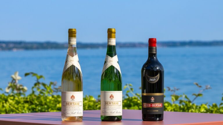 Secco, Soave and Bertarose become Vintage Edition: Bertani relaunches three historic labels with a contemporary style.