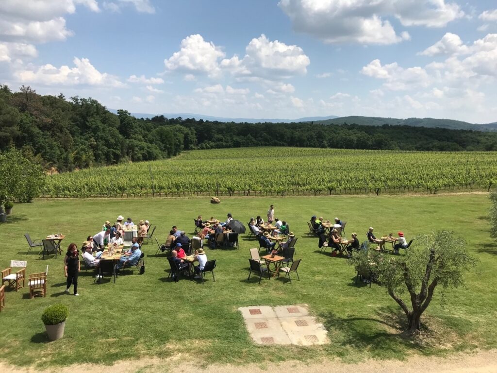 Dal 24 agosto al 25 ottobre le cantine del Movimento Turismo del Vino aprono per Cantine Aperte in Vendemmia.