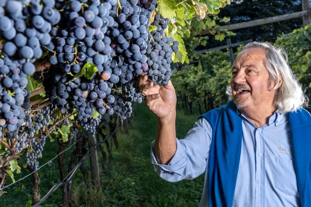 After more than five decades of shared winemaking, Mario Pojer and Fiorentino Sandri formalize their separation.