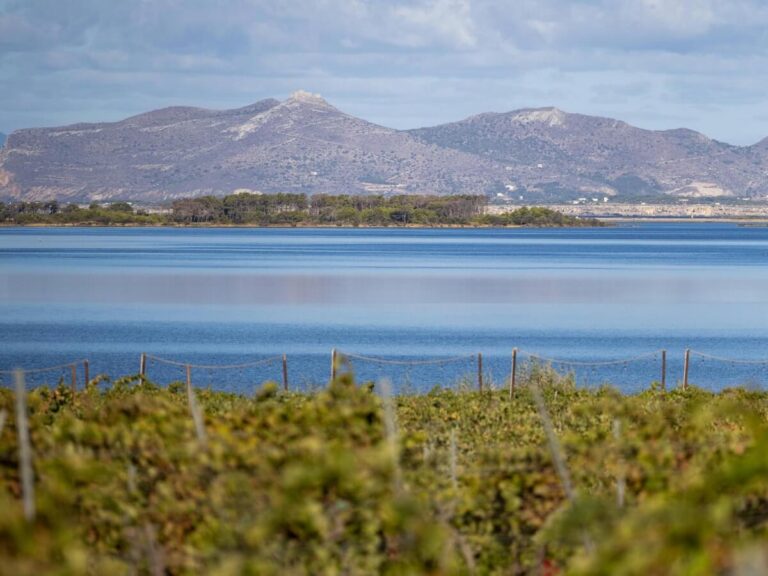 Marsala DOC Introduces UGAs: A New Geographic Framework for One of the Mediterranean’s Great Wines