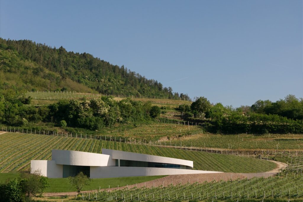The new Moncalisse winery opens: architecture, sustainability and top‑level wine tourism between Monte Calisio and Trentodoc bubbles.