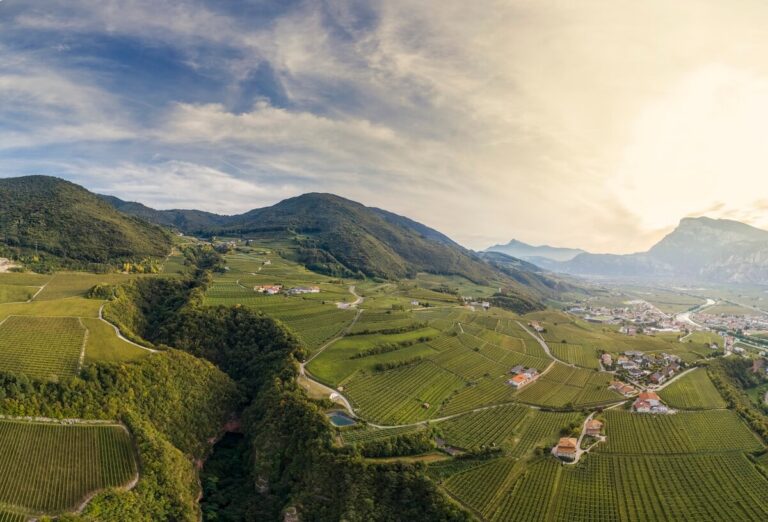 After more than five decades of shared winemaking, Mario Pojer and Fiorentino Sandri formalize their separation.