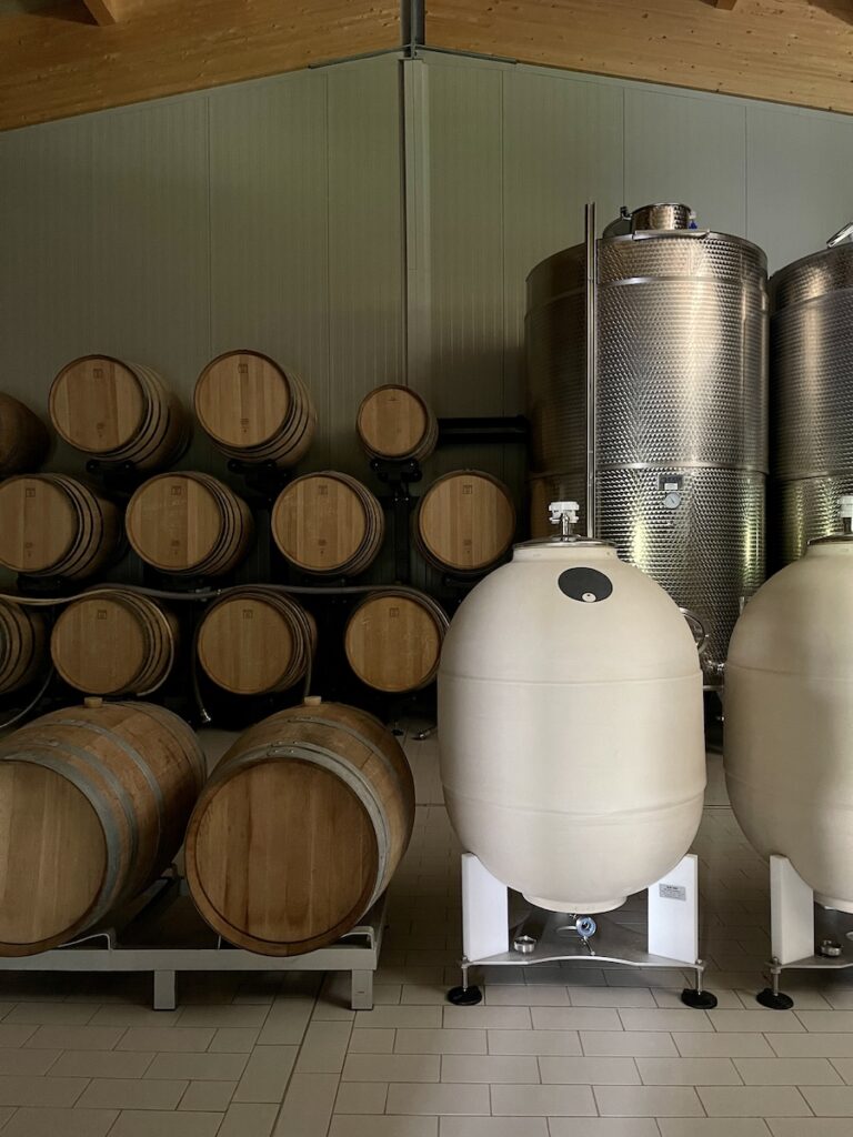 Santus interpreta la Franciacorta con un approccio sostenibile e coerente: biodiversità, vendemmie autentiche e un nuovo Blanc de Noir 2023.