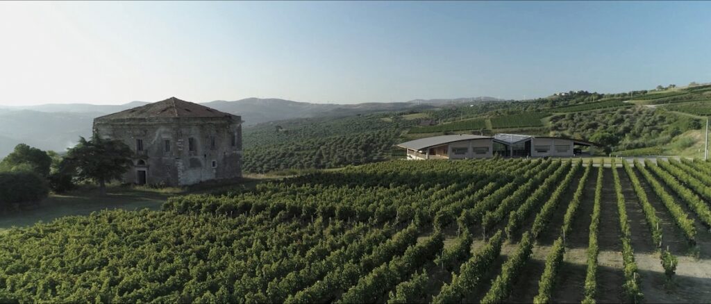 Tommasi Family Estates rinnova l’enoturismo: esperienze immersive come linguaggio per le nuove generazioni.