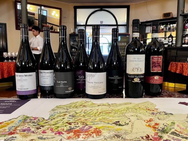 Vinchio Vaglio and the many souls of Barbera: Monferrato in the glass between old vines, Nizza and longevity in a tasting in Milan