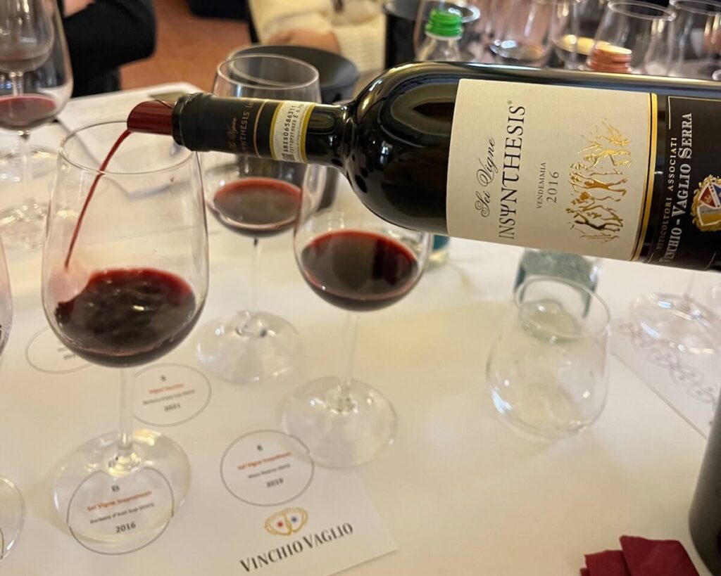 Vinchio Vaglio and the many souls of Barbera: Monferrato in the glass between old vines, Nizza and longevity in a tasting in Milan
