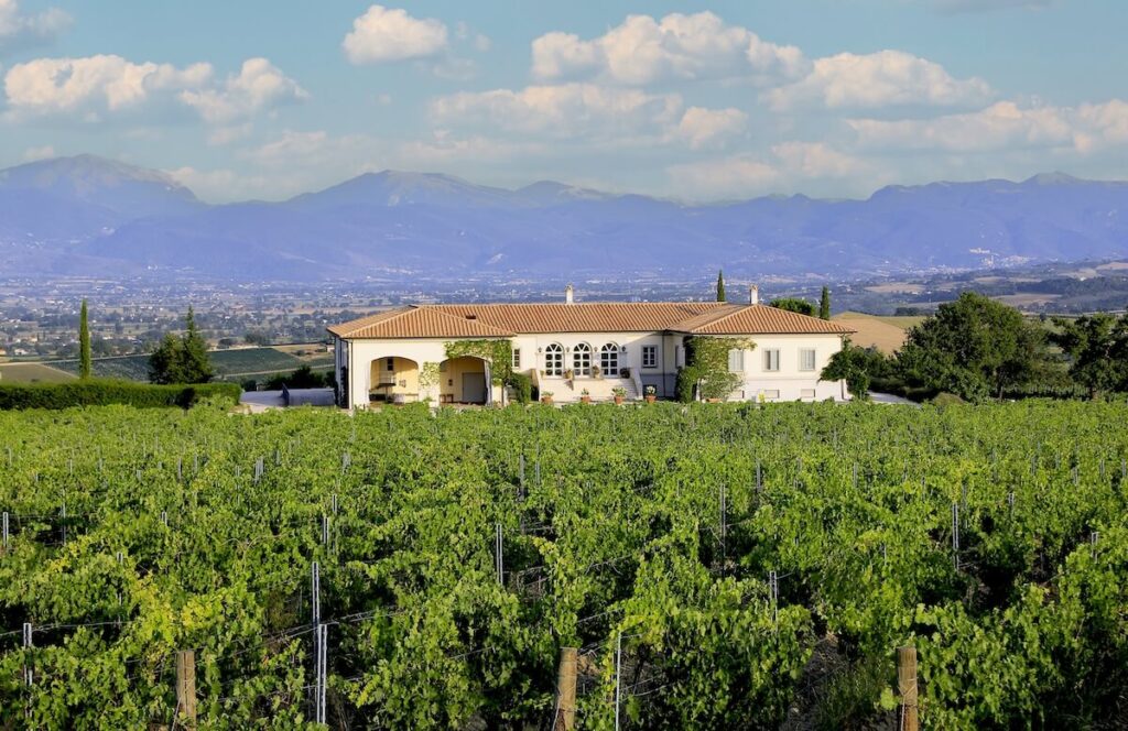 Tenuta Brancalupo and the new voice of Sagrantino in Umbria: how Lungarotti is rethinking Montefalco and Italian wine
