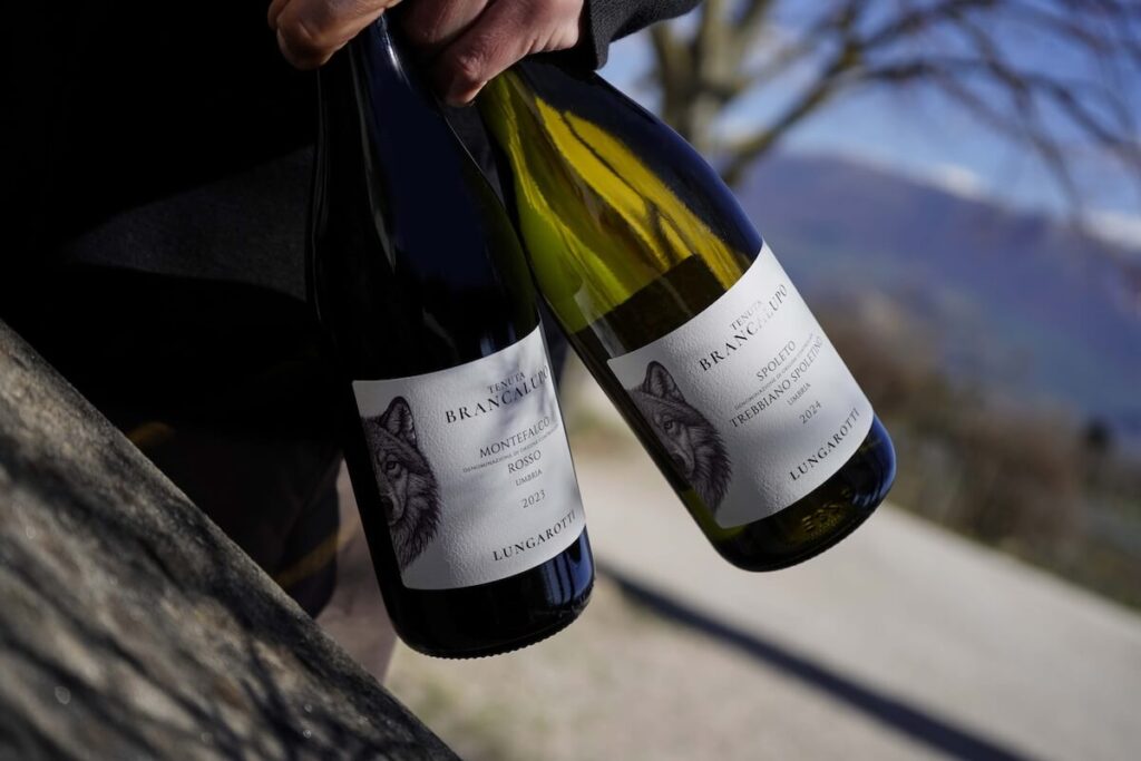 Tenuta Brancalupo and the new voice of Sagrantino in Umbria: how Lungarotti is rethinking Montefalco and Italian wine