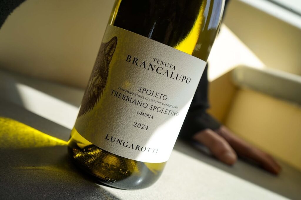Tenuta Brancalupo and the new voice of Sagrantino in Umbria: how Lungarotti is rethinking Montefalco and Italian wine