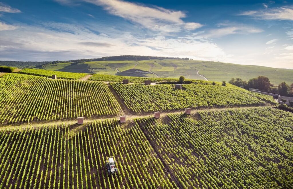 Maison Deutz presenta Amour de Deutz 2015, la nuova cuvée de prestige Blanc de Blancs nata da sette Grand e Premier Cru della Côte des Blancs