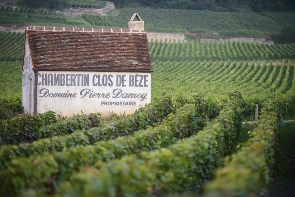 Louis Roederer Acquires Domaine Pierre Damoy: The Historic Champagne House Enters Burgundy