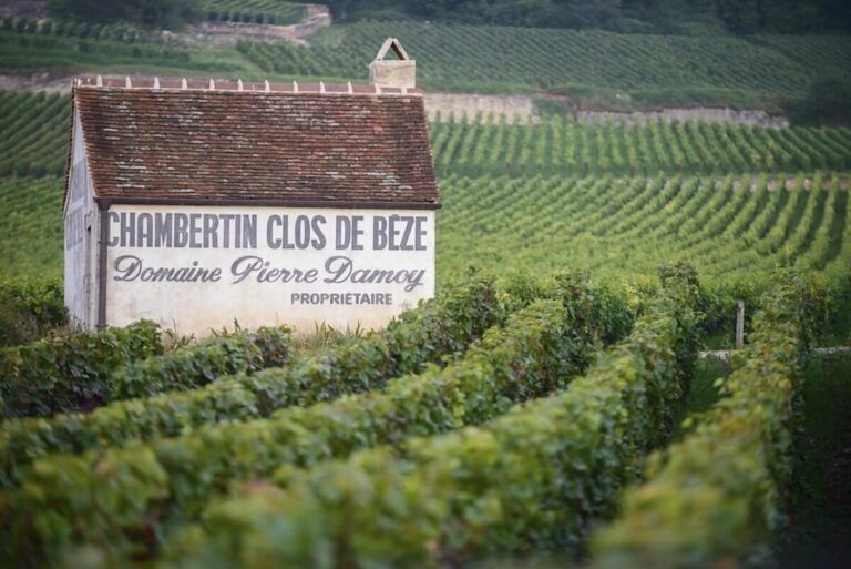 Louis Roederer Acquires Domaine Pierre Damoy: The Historic Champagne House Enters Burgundy