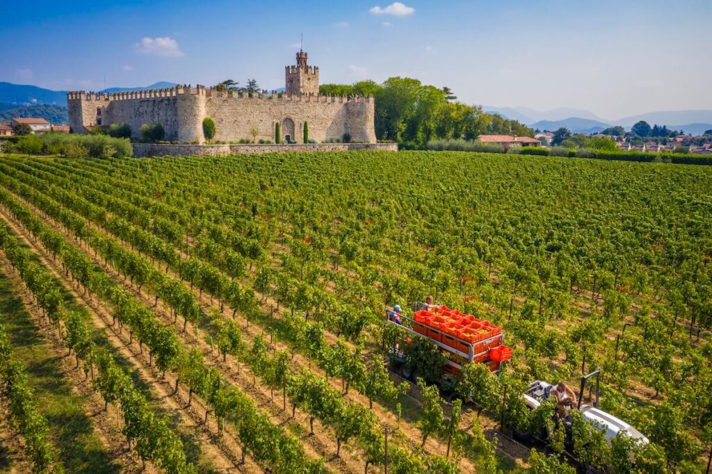 The 2026 Franciacorta harvest begins on 30 July, marking the first July start in the denomination’s history