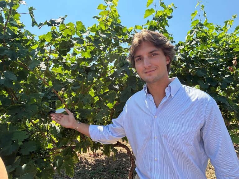 Villa Sandi brings sensors, drones, satellite imagery and artificial intelligence to the vineyard: an intelligent ecosystem is born.