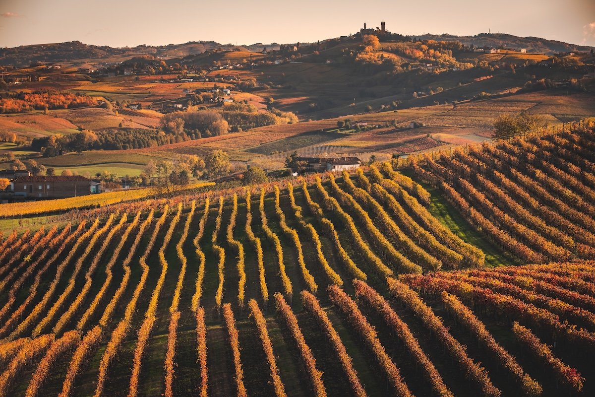 On June 22, 2026, the Nizza Docg Consortium is officially born: a historic milestone for the Monferrato denomination.