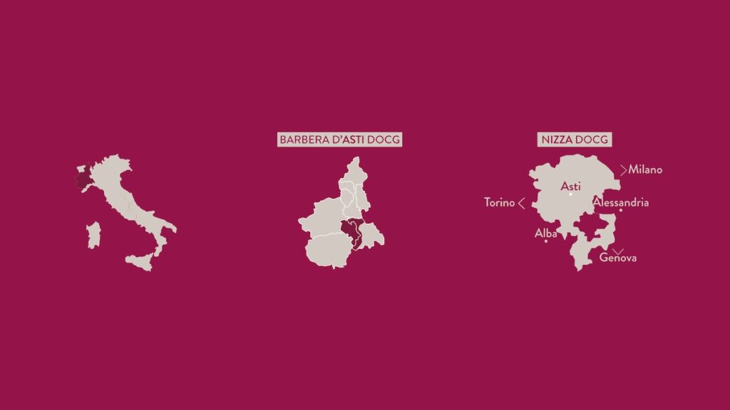 On June 22, 2026, the Nizza Docg Consortium is officially born: a historic milestone for the Monferrato denomination.