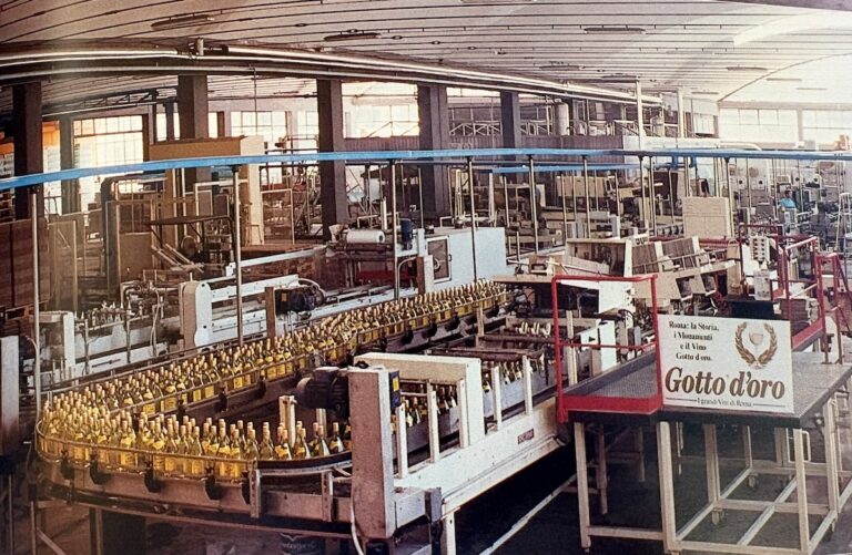 Cantine Ermes avvia una partnership pluriennale con Gotto d’Oro per valorizzare il territorio laziale e rilanciare le Doc dei Castelli Romani.