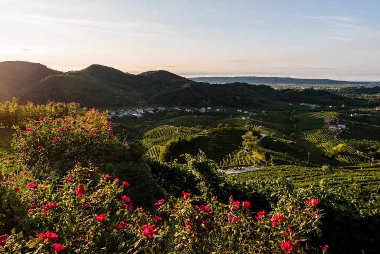 Two expressions of Col Vetoraz: Brut Rosa 12 Lune from Pinot Nero, matured for twelve moons, and the Valdobbiadene Docg Extra Brut Cuvée 5.
